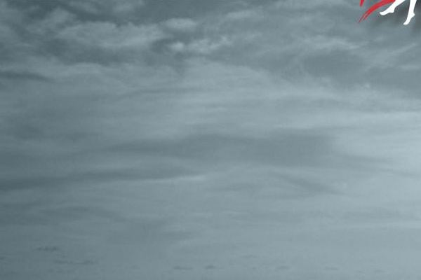 Sito Web Agenzia Matrimoniale